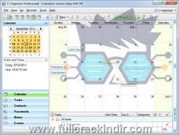 c-organizer-professional-v91-tam-surum-indir