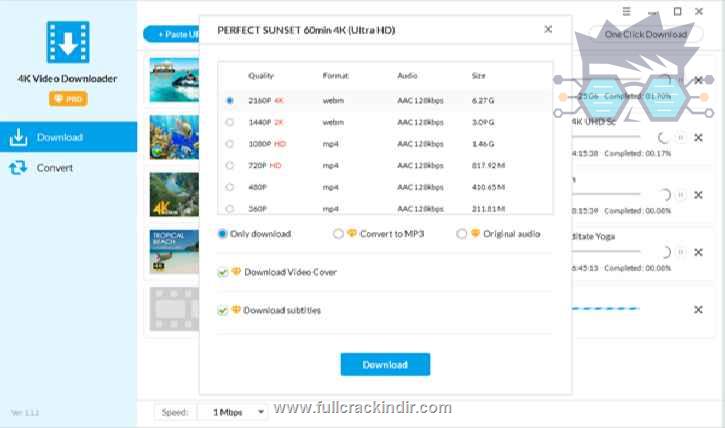 jihosoft-4k-video-downloader-pro-v5228-indir-tam-surum