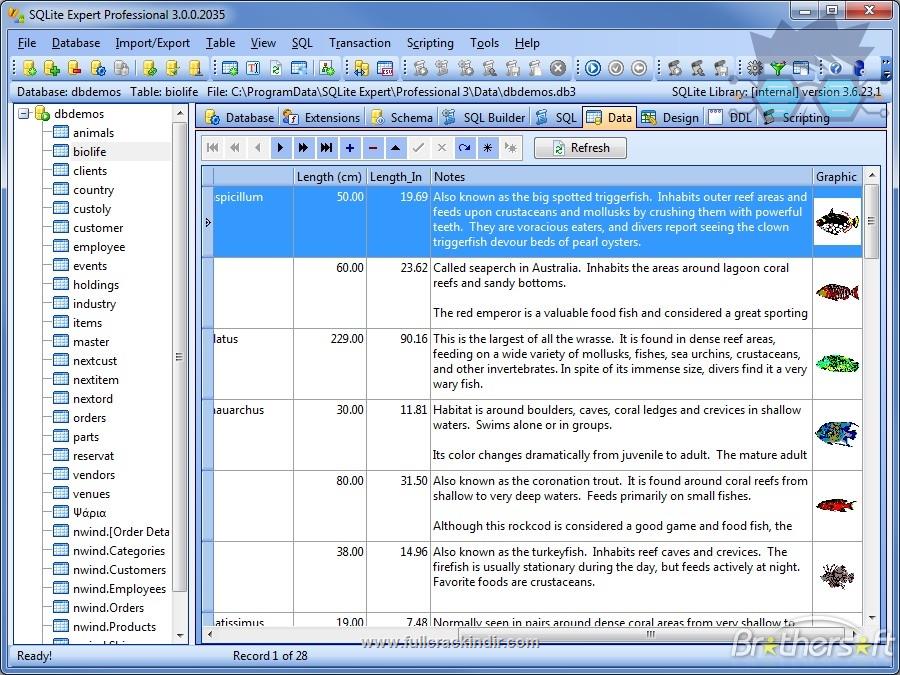 sqlite-expert-professional-v5518629-tam-surum-indir