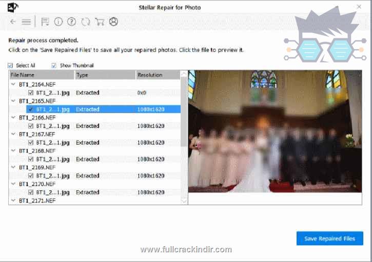 stellar-repair-for-photo-v8705-indir-full-surum