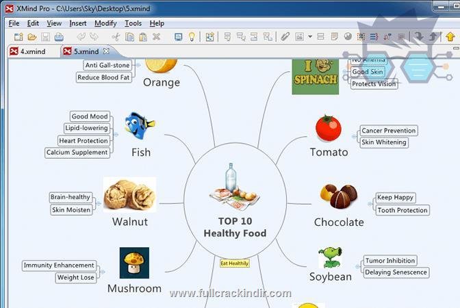 xmind-2024-indir-full-surum-v240410301