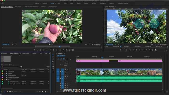 adobe-after-effects-2024-indir-full-v2460069-windows-ve-mac-icin