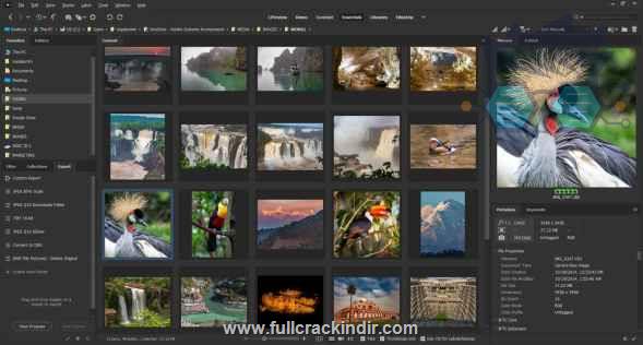 adobe-bridge-2025-full-indir-v150-turkce-win-ve-mac-icin