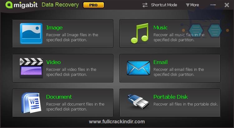 amigabit-data-recovery-standard-2010-indir-tam-surum