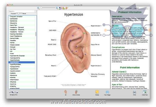 auriculo-3d-tam-akupunktur-programini-hizla-indir