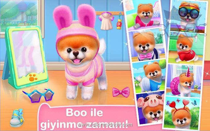 boo-en-sevimli-kopek-apk-full-ucretsiz-mod-indir