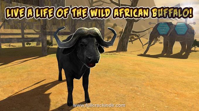 buffalo-sim-bull-wild-life-apk-indir-tam-mod-lutfen