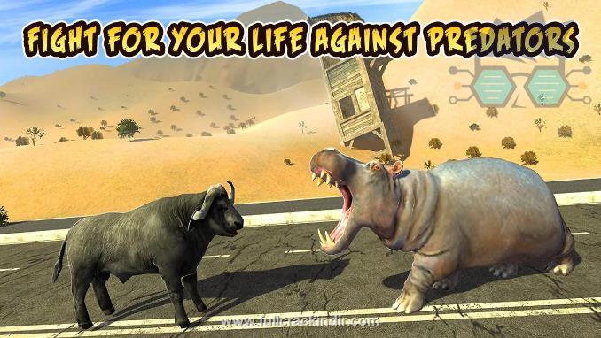 buffalo-sim-bull-wild-life-apk-indir-tam-mod-lutfen