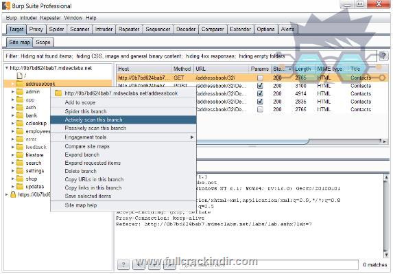 burp-suite-professional-v202482-indir-full-versiyon