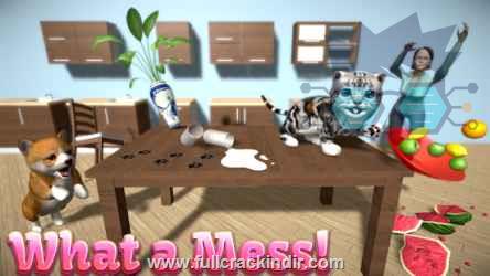 cat-simulator-mod-hileli-apk-indir-arkadaslarla-eglence