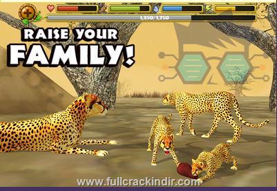 cheetah-simulator-11-apk-indir-android-icin-hizli-ve-kolay