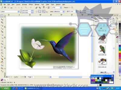 coreldraw-graphic-suite-x5-full-1520695-sp3-indir