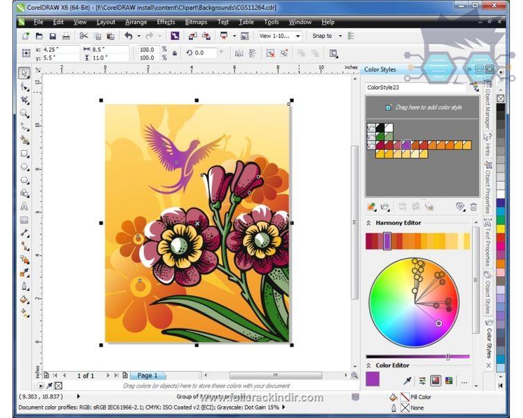 coreldraw-graphics-suite-x6-16411281-sp4-indir-tam-surum