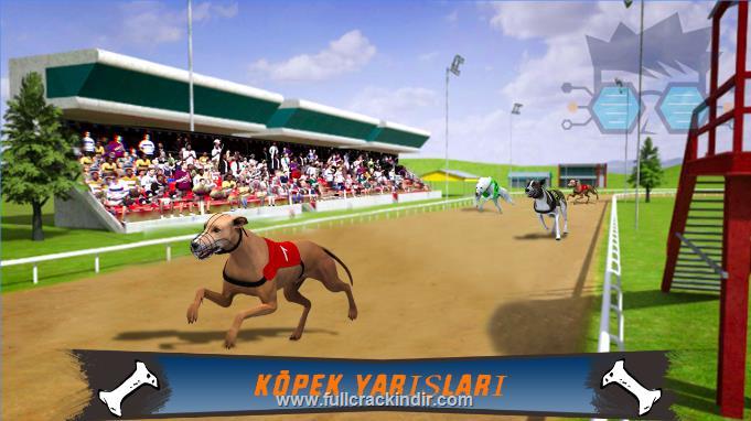 dog-crazy-race-simulator-apk-full-indir-modlu-versiyon