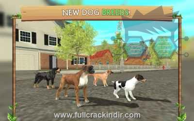 dog-sim-online-aile-kur-mod-para-hileli-apk-indir