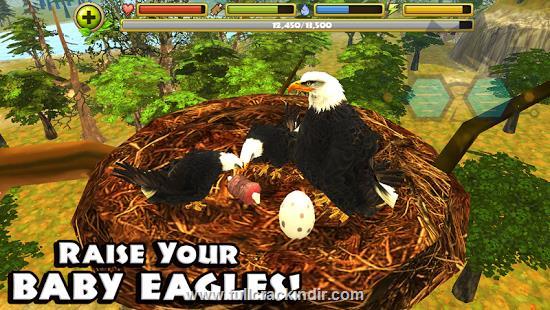 eagle-simulator-apk-full-v10-indir-android-icin-ucretsiz-indirme