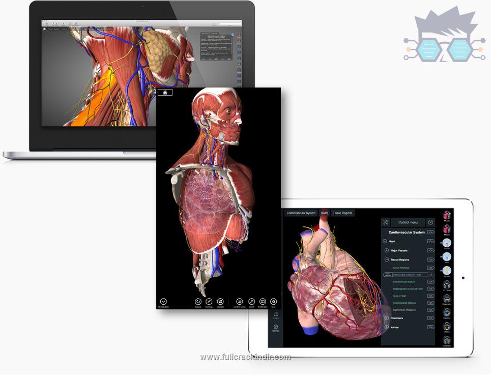 essential-anatomy-50-for-mac-os-x-tam-surum-indirme