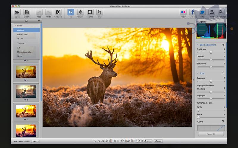 everimaging-photo-effect-studio-pro-413-full-indir