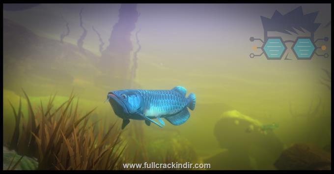 feed-and-grow-fish-full-pc-indir-ucretsiz-oyun-indirme