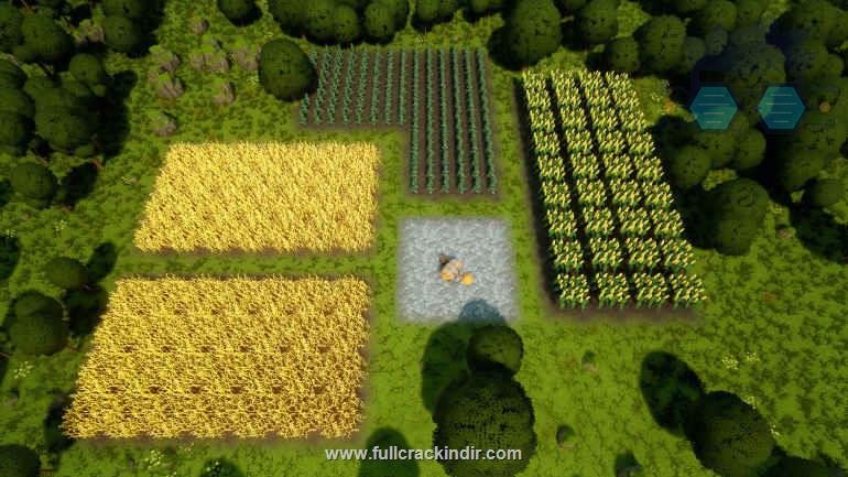 fields-of-gold-full-pc-turkce-indir