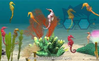 fish-farm-3-mod-para-11867180-apk-indir