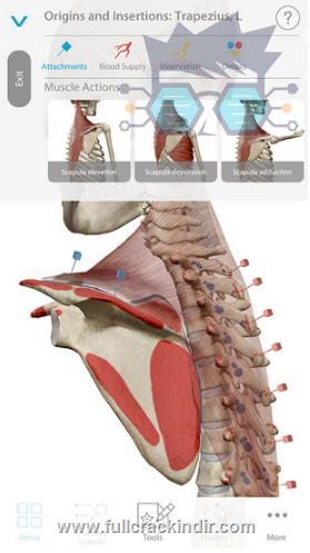 human-anatomy-atlas-2017-ios-tam-surum-v2017335-indir