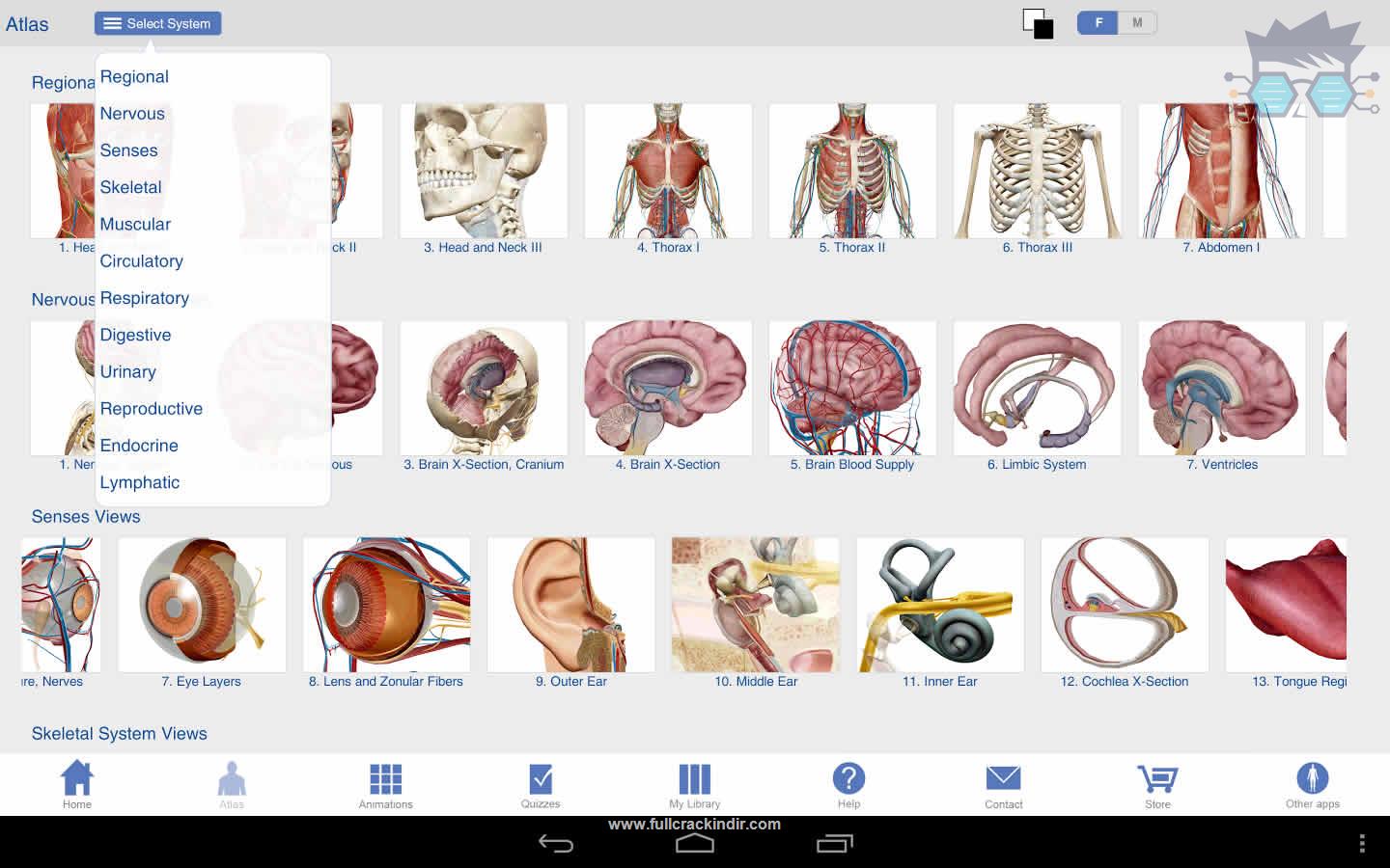 human-anatomy-atlas-7403-apk-full-indir-android