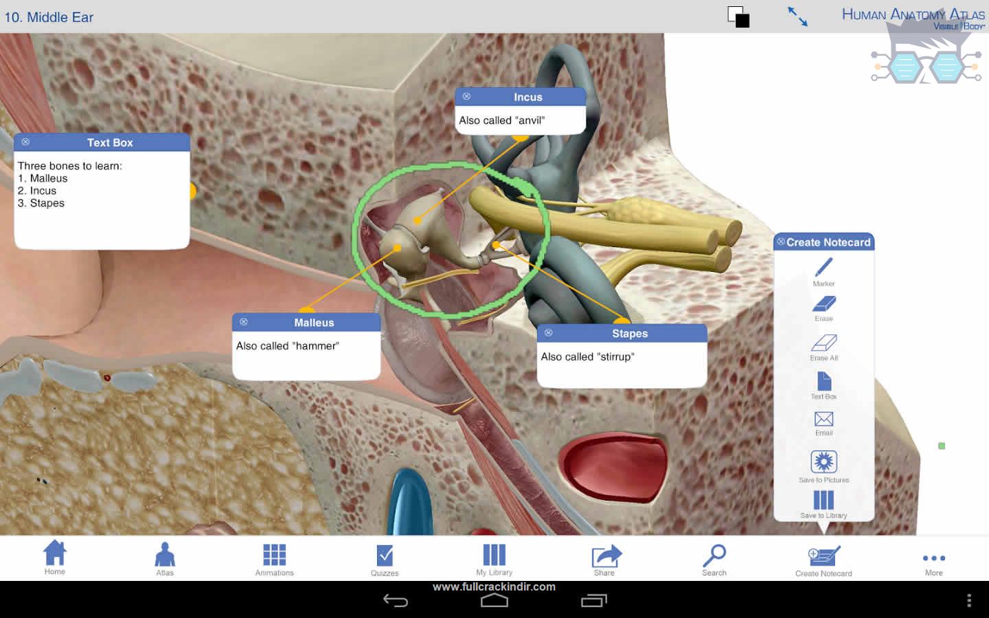 human-anatomy-atlas-7403-apk-full-indir-android