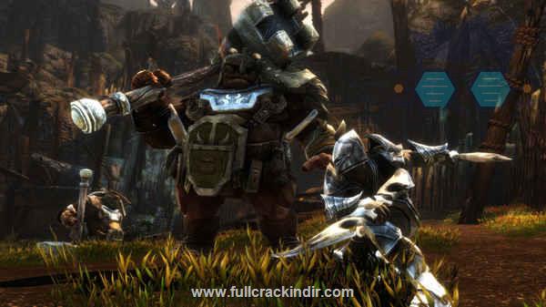 kingdoms-of-amalur-re-reckoning-pc-indir-tam-surum