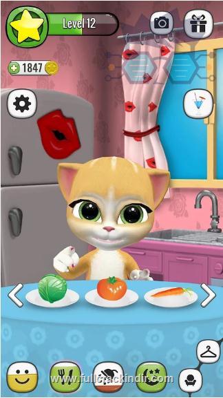 konusan-kedi-emma-v111-apk-indir-mod-para-ozellikli