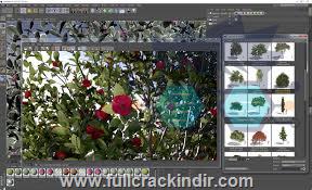 laubwerk-plants-kit-4-7-full-indir-3ds-max-ve-cinema-4d-v1025