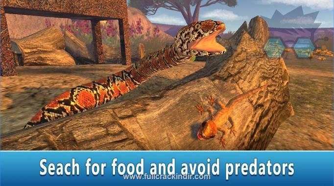 lizard-simulator-3d-apk-full-mod-v10-indir