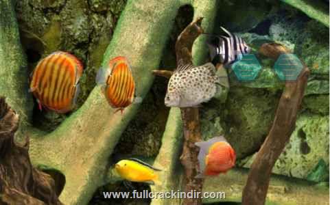 mylake-3d-aquarium-apk-indir-tum-modlar-ve-kilitler-acik