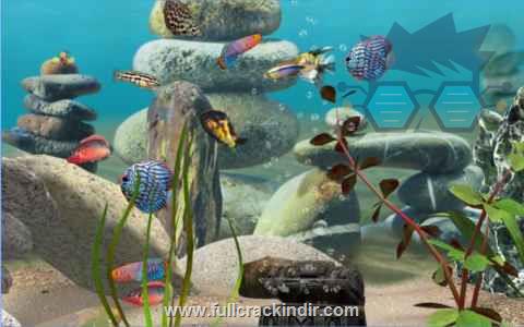 mylake-3d-aquarium-apk-indir-tum-modlar-ve-kilitler-acik