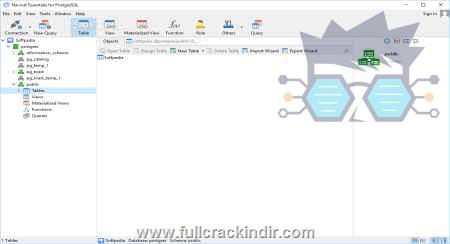 navicat-for-postgresql-v16115-indir-tam-surum