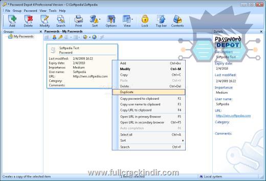 password-depot-professional-v1722-indir-tam-surum