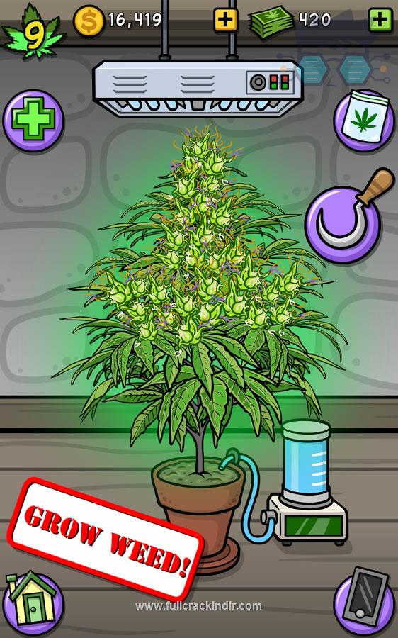 pot-farm-grass-roots-apk-indir-mod-v1242-ucretsiz-indirin