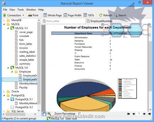 premiumsoft-navicat-report-viewer-full-v328-indir-hizla-indirin