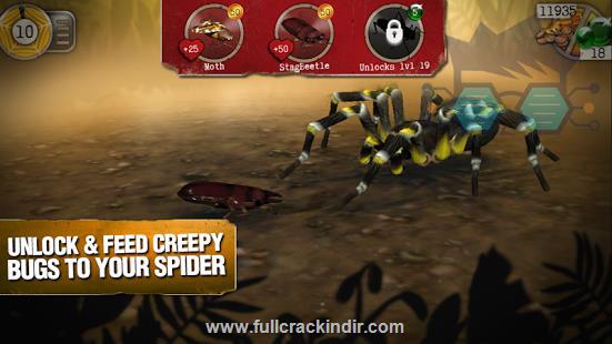 real-scary-spiders-apk-yi-tam-surum-olarak-indir