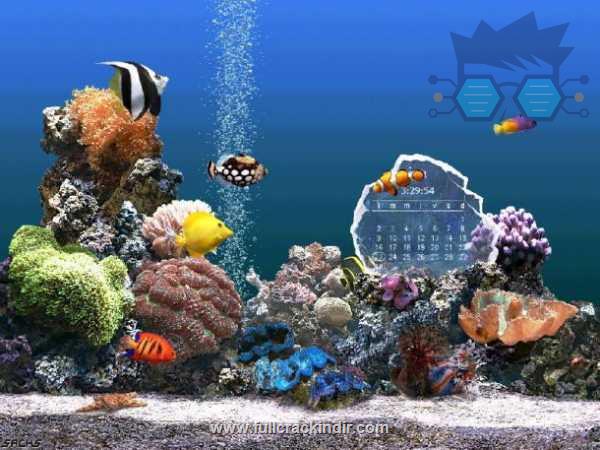 serenescreen-marine-aquarium-full-v336381-ekran-koruyucu-deniz-alti-manzaralari-ile-bilgisayarinizi-canlandirin