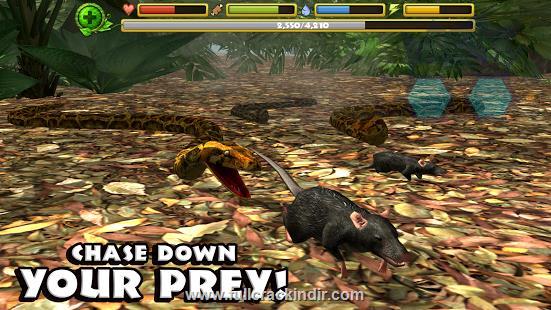 snake-simulator-apk-full-v11-indir-en-yeni-surumu-buradan-indirin