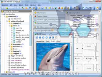 sql-maestro-for-mysql-full-indir