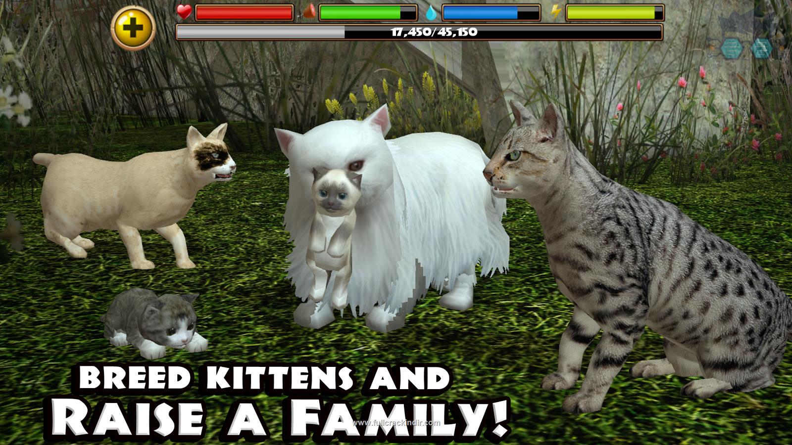 stray-cat-simulator-v473-apk-indir-android-icin-ucretsiz-oyun