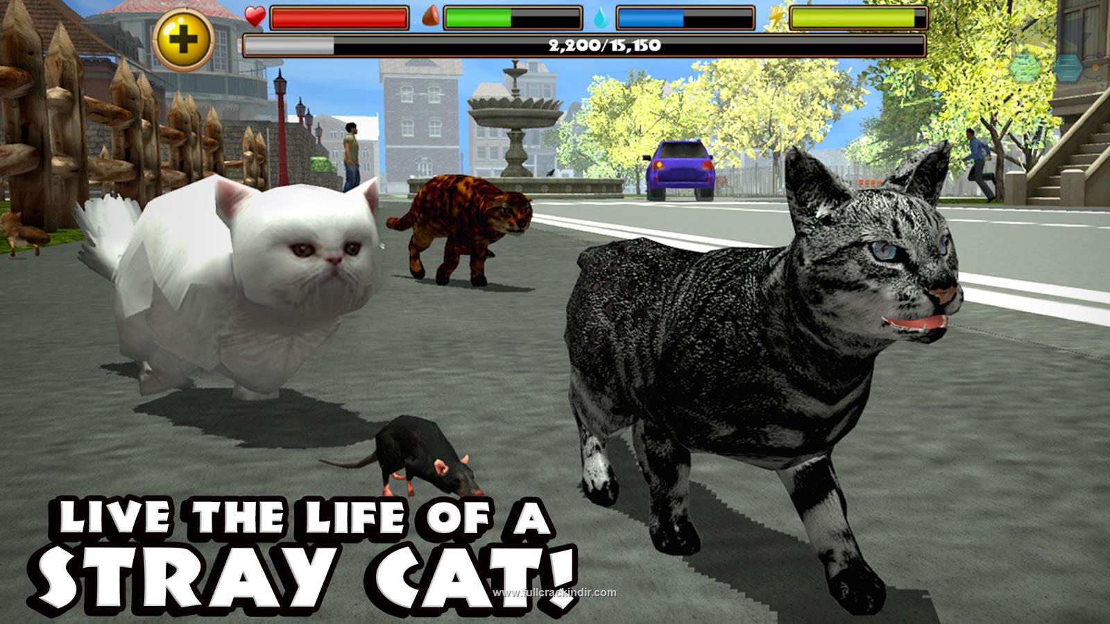 stray-cat-simulator-v473-apk-indir-android-icin-ucretsiz-oyun