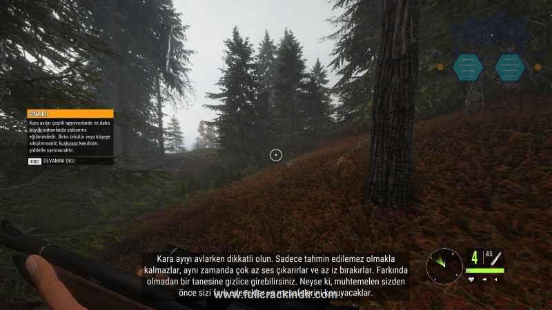 thehunter-call-of-the-wild-turkce-yama-indir-kolay-kurulum