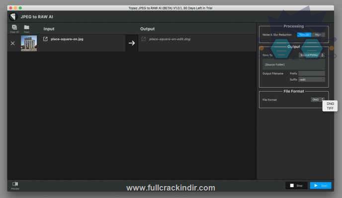 topaz-jpeg-to-raw-al-221-full-indir