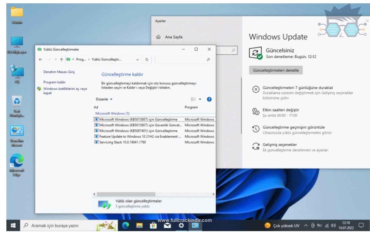 turkce-windows-10-11-lite-orijinal-x64-indir