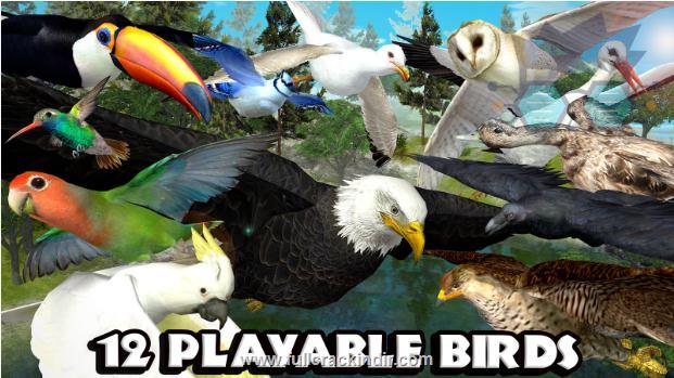 ultimate-bird-simulator-apk-full-mod-v12-indir