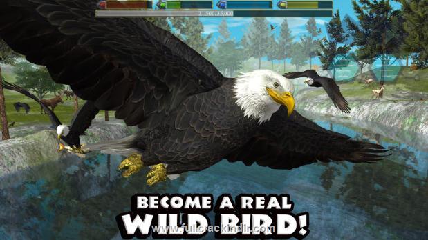 ultimate-bird-simulator-apk-full-mod-v12-indir