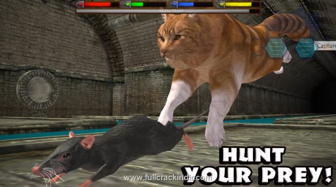 ultimate-cat-simulator-apk-full-mod-v11-indir